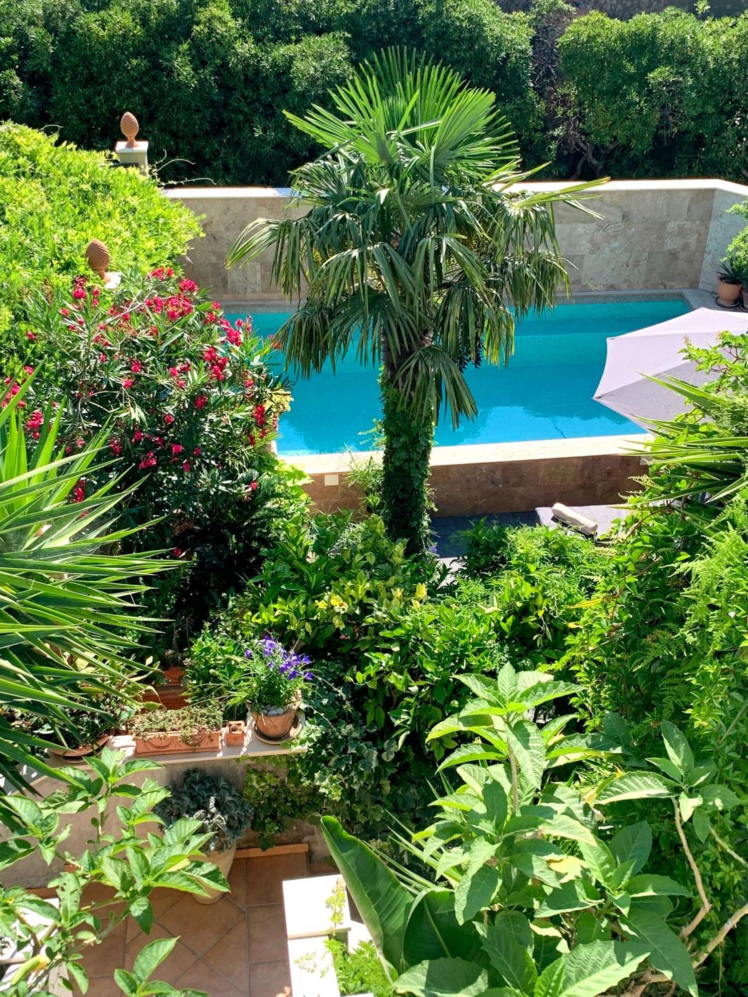 Luxury Pool Central Makarska Apartment By Maryn 외부 사진